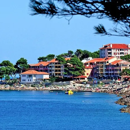 Punta,